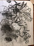 kerry seidfried - Floribunda Online May 6th 