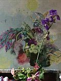 lorraine tuck - Floribunda Online