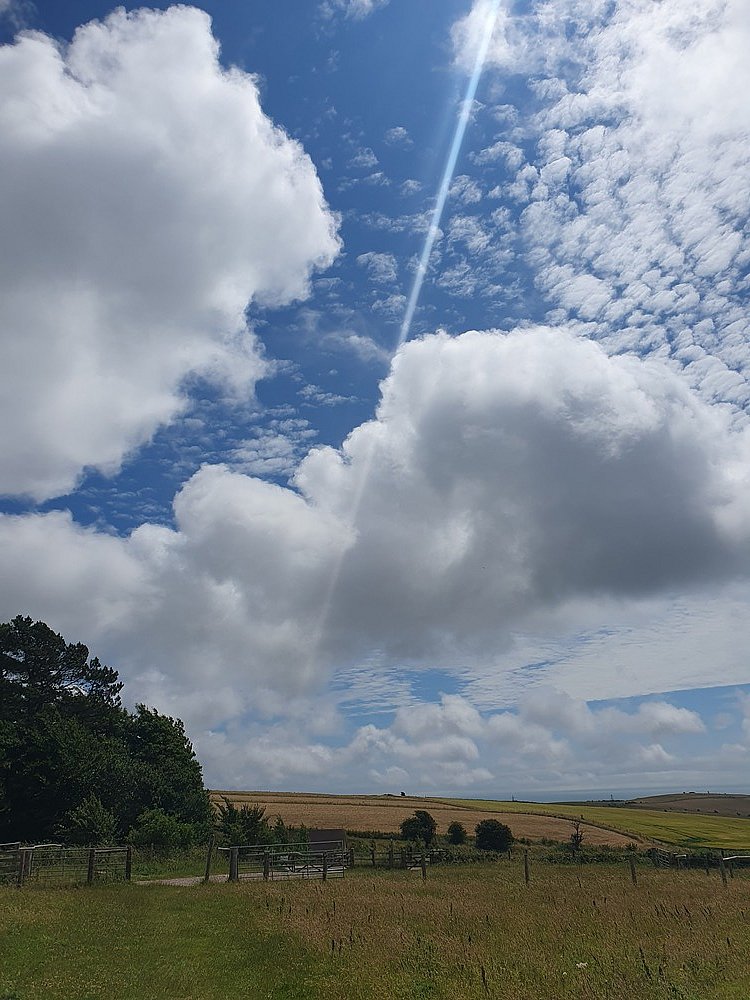 Colour and Light on the Downs