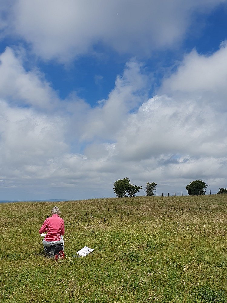 Colour and Light on the Downs