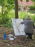 Summer School - Summer in the Garden at High Down