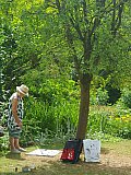 Summer School - Summer in the Garden at High Down