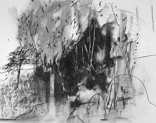 Ann Johnson  - Autumn Trees Nov 2021