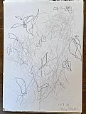 Aprille McShane - Summer in the Garden - Online 2025