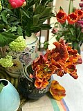barbara kennington - Floribunda Online