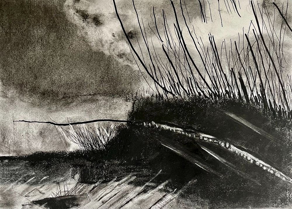 Reed Beds - Antje Mackenzie