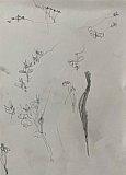 alethea eriksson - Summer School 2024 ( online ) - Summer in The Garden