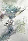 andrea butler - Walking The Land
