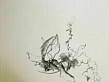 bobby boud - Floribunda Online May 26th 