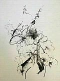bobby boud  - Floribunda Online May 26th 