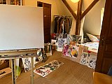 carinthia gibbins - Paint Fit Autumn 2023