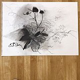 cathy wagstaff - Floribunda Online May 26th 