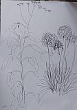 fiona bisset - Paint Fit &ndash; Autumn Studio Retreat 2026