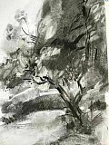 fiona seddon - Autumn Trees Nov 2021
