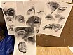 glennis edey  - Drawing & Painting the Head - Self Portraits 2023