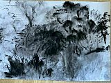 glennis edey - Autumn Trees Nov 2021