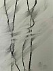 helen berry - Embodied Drawing January 2021