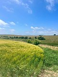 Colour and Light on the Downs