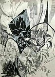 susan jones - Floribunda Online