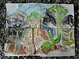 janet aughey - Experiments in Watercolour March 2021