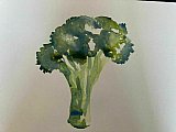 jenny pearce - Experiments in Watercolour March 2021