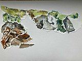 jenny pearce - Experiments in Watercolour March 2021
