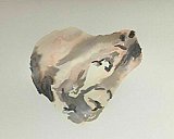 kathryn chapman - Experiments in Watercolour March 2021