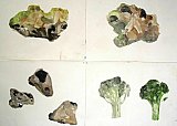 maggie philo - Experiments in Watercolour March 2021