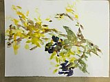 nicola watson - Experiments in Watercolour March 2021