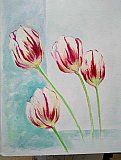 ruth ball - Floribunda Online