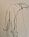 study Morose - Charlotte Wyatt