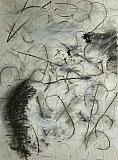 yoshie fellowes - Walking The Land
