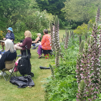 Summer School 2025 - Summer in the Garden at Highdown